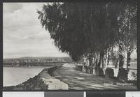 133. 106 Hamar. Stangebroen - no-nb digifoto 20150629 00228 bldsa PK25578.jpg