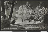 391. 107 Oslo ved natt. Fra Slottsparken - no-nb digifoto 20151109 00098 bldsa PK08140.jpg