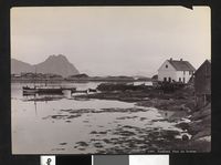317. 1089. Nordland, Parti fra Svolvær - no-nb digifoto 20160108 00010 bldsa AL1089.jpg