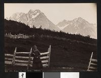 25. 1163. Tromsø Amt, Ved Ulfsnæs i Ulfsfjorden - no-nb digifoto 20160108 00265 bldsa AL1163.jpg