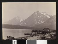 339. 1173. Tromsø Amt, Parti ved Gjøvik ved Ulfsfjord - no-nb digifoto 20160108 00271 bldsa AL1173.jpg