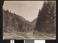 37. 119. Ringerike, Krokklevveien - NB bldsa AL0119.jpg