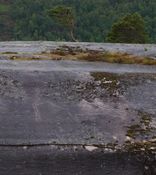 Sagelv helleristningsfelt i Salten. Foto: Olve Utne