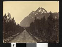 32. 1195. Tromsø Amt, Fjeldet Pollen, Lyngenfjord - no-nb digifoto 20160111 00021 bldsa AL1195.jpg