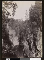 93. 1310. Gjøvik, Skovparti ved Gjøvik - no-nb digifoto 20160112 00016 bldsa AL1310.jpg