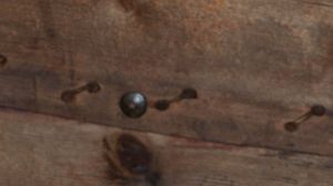 13691cr NSF sjnjaka.jpg