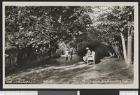 112. 1443 Kristiania. Fra Kampens Park - no-nb digifoto 20151015 00107 bldsa PK03840.jpg