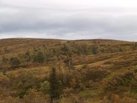 2. 14876 haustfjell ovom Vutudalen.jpg