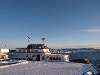 På Sør-Tustna i februar 2010. Foto: Olve Utne