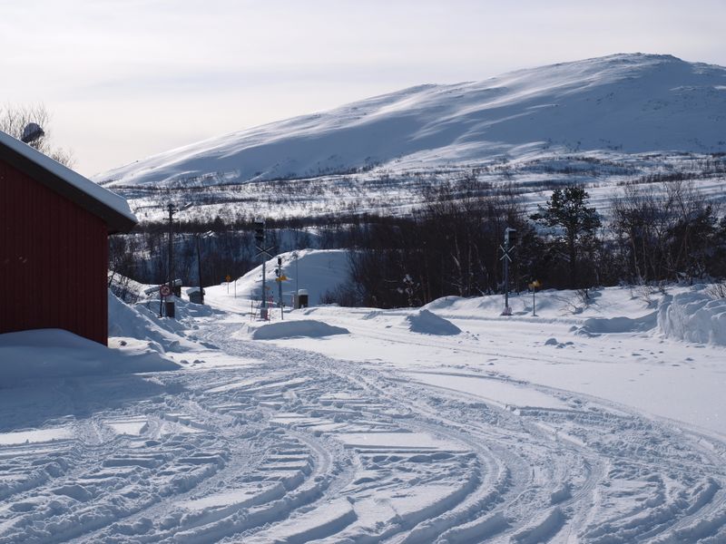 Fil:16676 Loensdal st. - Giebbnevarddo.jpg