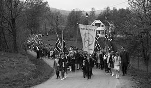 17mai tog i Nesveien.jpg