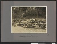 18372 "B" - no-nb digifoto 20150113 00014 bldsa HUSMORSK 22.jpg