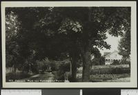 98. 1878 Eidsvold. Parti ved Hammerstad Pensionat - no-nb digifoto 20150901 00012 bldsa PK23008.jpg