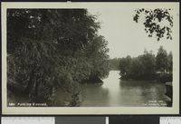 108. 1884 Parti fra Eidsvold - no-nb digifoto 20150901 00013 bldsa PK23009.jpg