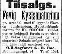 1900: Eiendommen til salgs