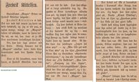 1906: Grimstadposten siterer minneord fra Barnebladet Magne. (Grimstadposten 23/3/1906)