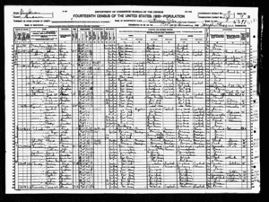 1920 census Schneider Pedersen.gif