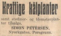 Simon Pettersen selger planter. Porsgrunns Dagblad 19. mai 1930.