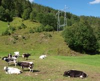 STN på Mo (Surnadal) på Nordmøre. Foto: Olve Utne (2010).