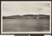 Parti av Helgøya. Foto: Carl Normann (1920). .