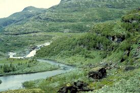 Aurlandselva møter Grøna, før utbyggingen. Foto: Frode Inge Helland (1961).