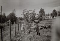 Westlie, Lindheim, Hjellum 1963. Hage, Annar, Arne. Foto: Elida Westlie