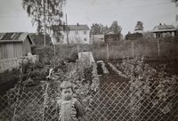 Westlie, Lindheim, Hjellum 1963. Hage, Ingrid. Engvillaen i bakgrunnen. Foto: Annar Westlie