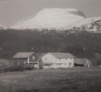 Oppistua i 1981. Foto: Olve Utne.