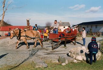 1997 03 09 Gausel fritidsgård, hest og kjerre.jpg