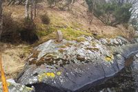 1 IMG 20130413 131429.jpg