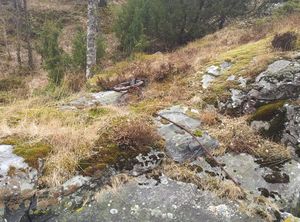 1 IMG 20130413 132032.jpg