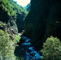 Dalbunnen under Sinjarheim er ufremkommelig. Man kan krysse elven nede ved Almen og gå over til Teigen og krysse elven igjen via Bridlebrui. Foto: Frode Inge Helland