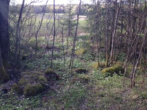 2014 Villumstad med husmannsplassen Moa i vest. 31.des.jpeg