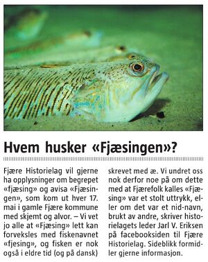 20150114 AGDP Hvem husker Fjæsingen.JPG