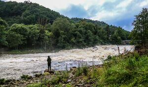 En laksefisker står ved en flomstor Audnaelv.