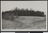 47. 2017 Hemnes Gml. Kirkegaard - no-nb digifoto 20150814 00063 bldsa PK22125.jpg