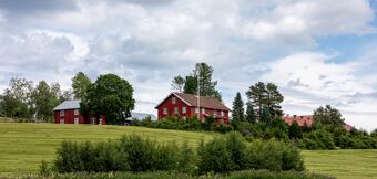 20220715-Tommeraasen-Snertingdal.jpg