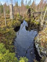 Et av gruvehullene ved Trautgruva.