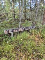 Et skilt markerer stedet der det en gang var hestevandring.