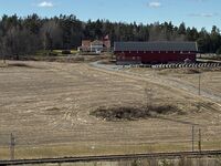 12. 2026-04-06 Ton.jpeg