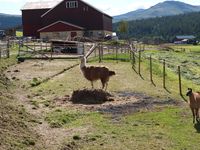 1. 20441 Folldal 145 Stor-Eide 3 Sletten.jpg