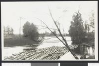 18. 2068 Fra Disenaa - no-nb digifoto 20150805 00149 bldsa PK28991.jpg