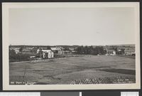 295. 206 Parti av Stange - no-nb digifoto 20150806 00109 bldsa PK27353.jpg