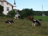 24. 21071 134-1 Sogarn Hov.jpg