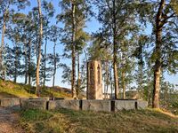 Foto: Eva Rogneflåten (2021)