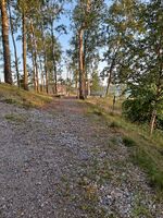 Foto: Eva Rogneflåten (2021)