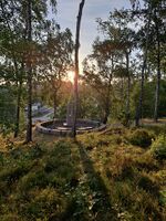 Foto: Eva Rogneflåten (2021)