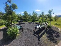 Foto: Idun Stokka, 2024.