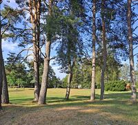 Foto: Eva Rogneflåten (2021)