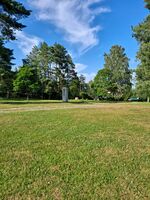 Foto: Eva Rogneflåten (2021)